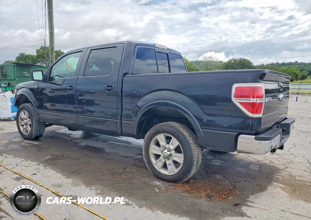 2010 Ford F150 Supercrew VIN:1FTFW1EV4AFA67668 - 2