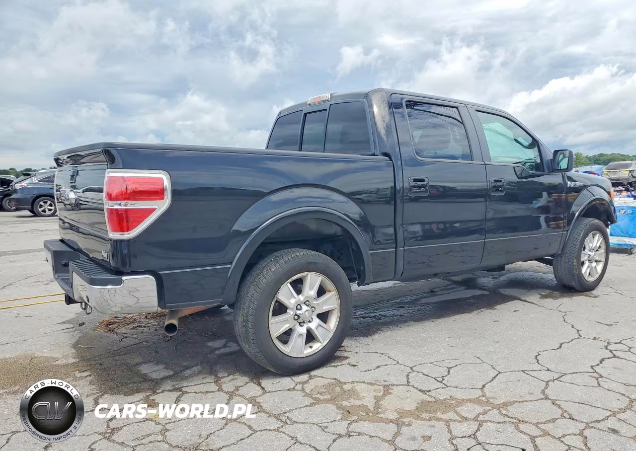 2010 Ford F150 Supercrew VIN:1FTFW1EV4AFA67668 - 3