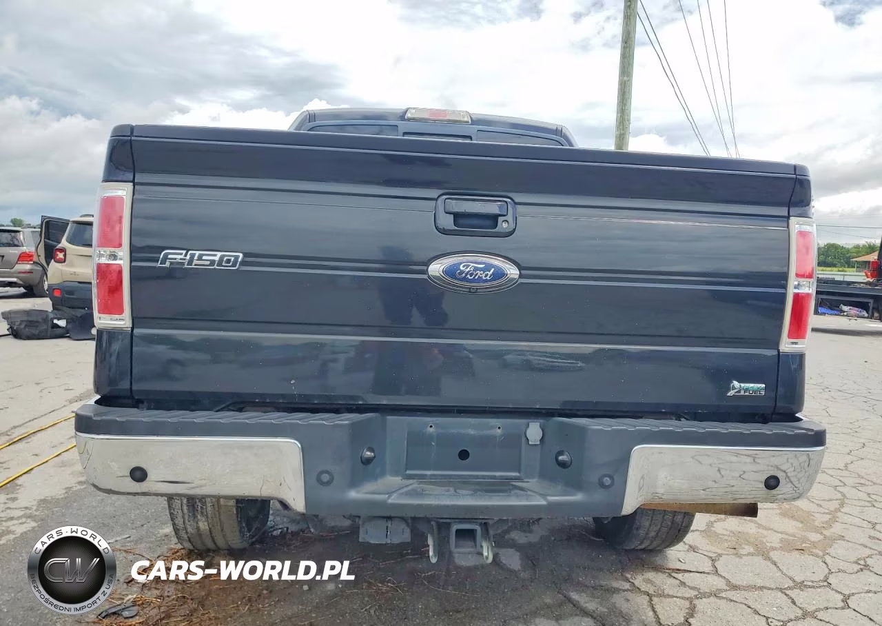 2010 Ford F150 Supercrew VIN:1FTFW1EV4AFA67668 - 6