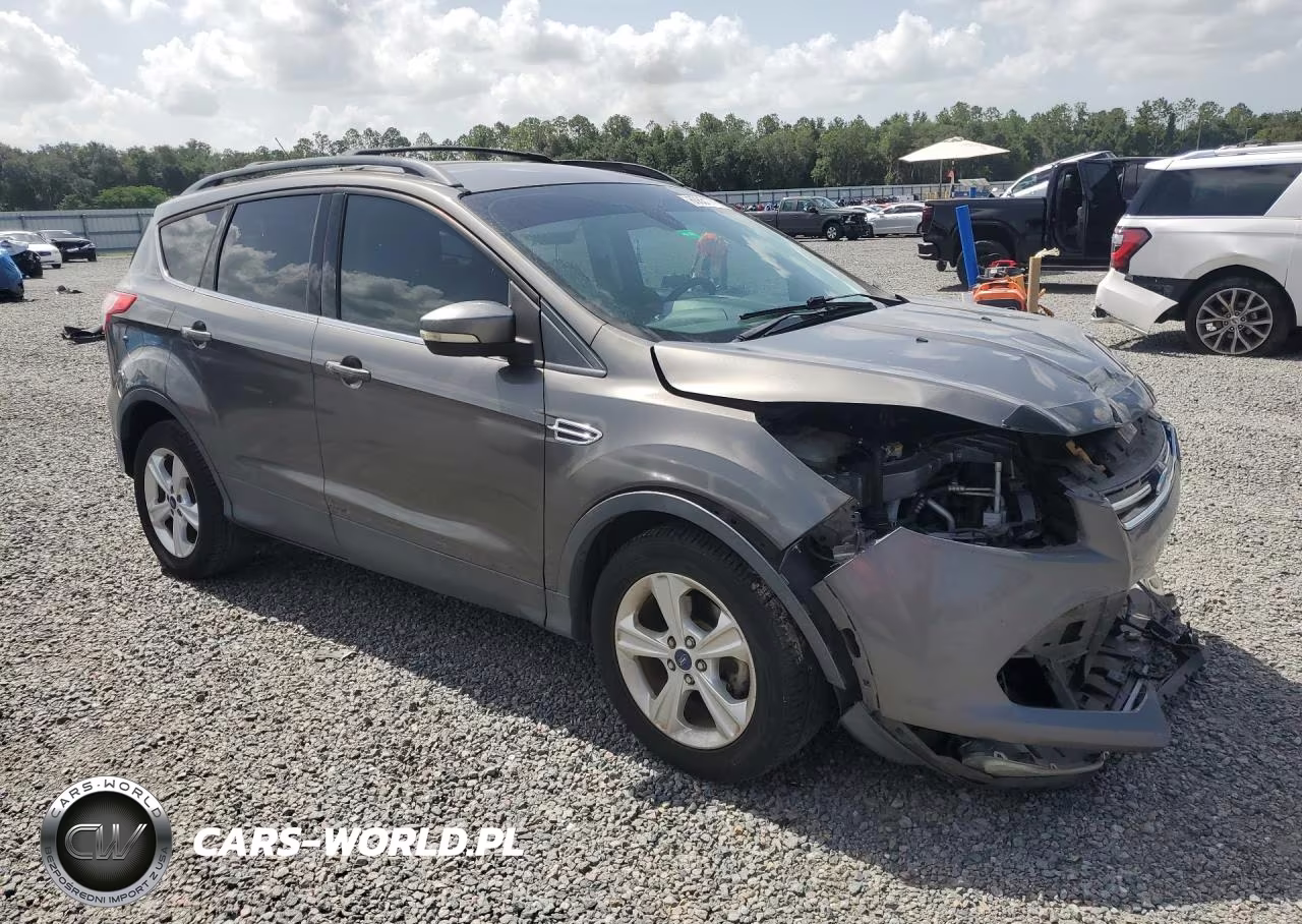 2013 Ford Escape Sel VIN:1FMCU0HXXDUB17338 - 4