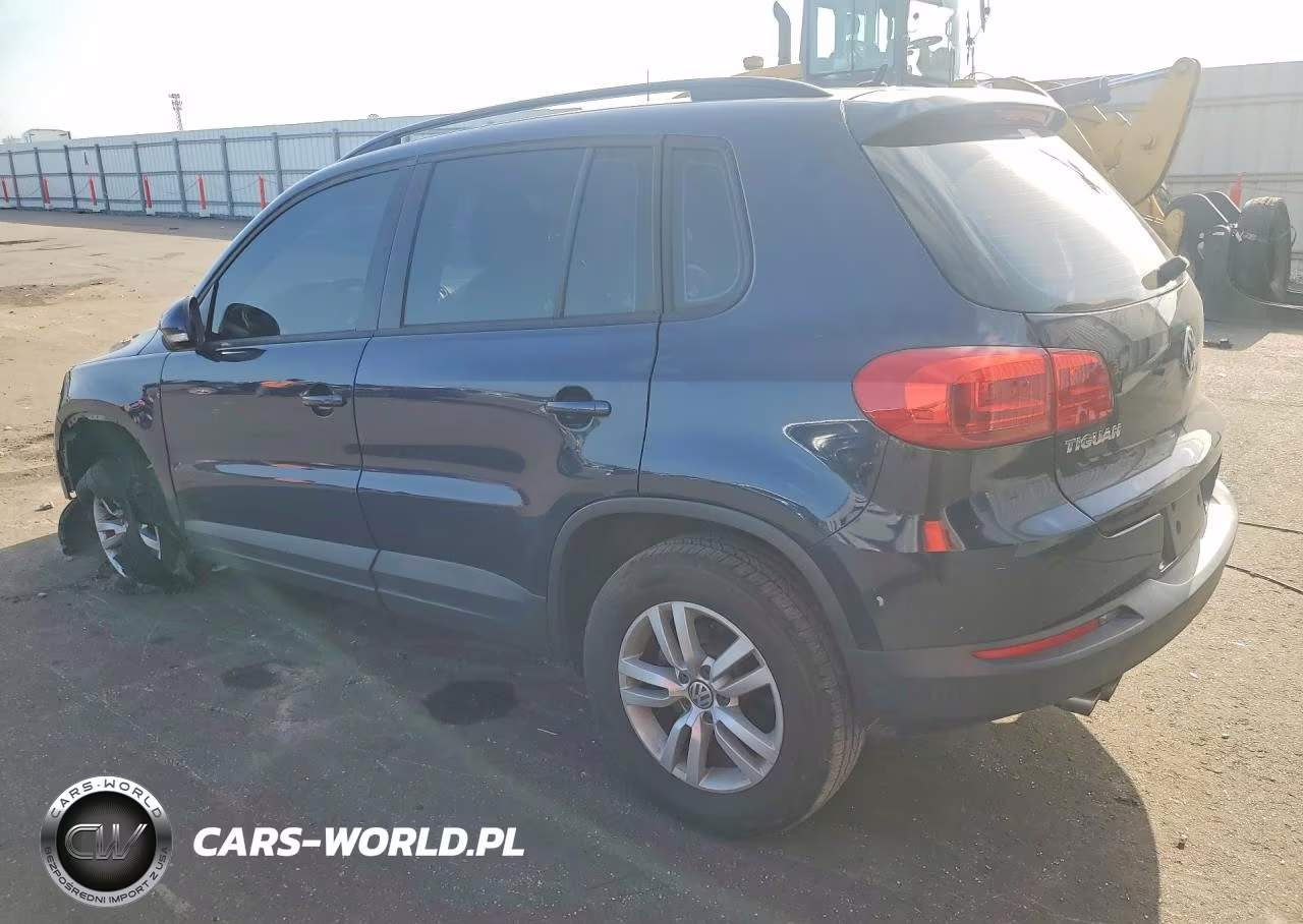 2016 Volkswagen Tiguan S VIN:WVGAV7AX1GW539109 - 2