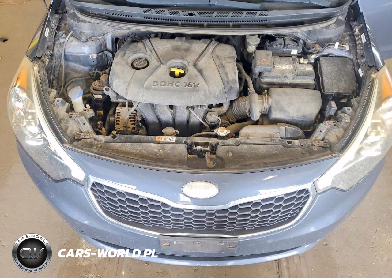 2014 Kia Forte Lx VIN:KNAFX4A61E5239662 - 11