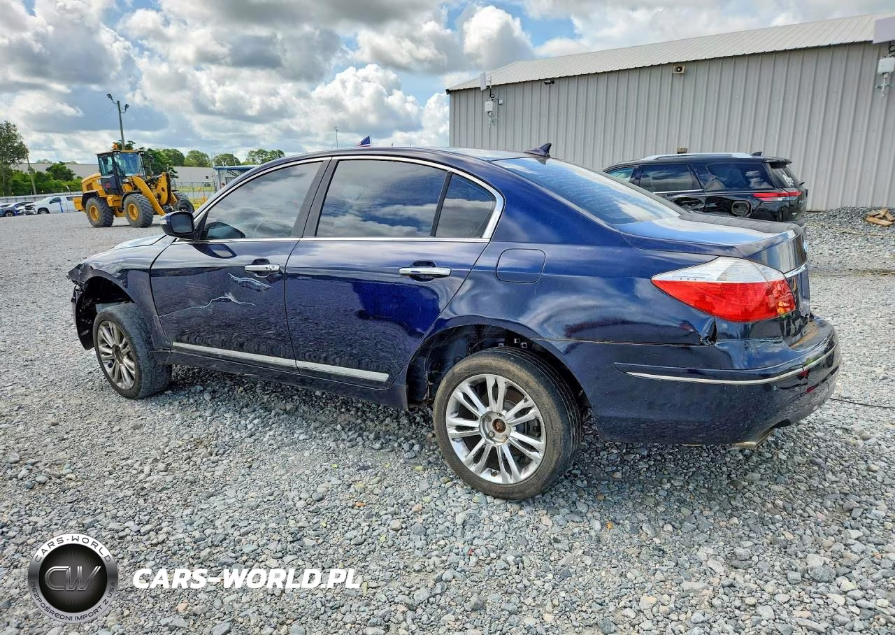 2010 Hyundai Genesis 4.6L VIN:KMHGC4DF1AU111075 - 2