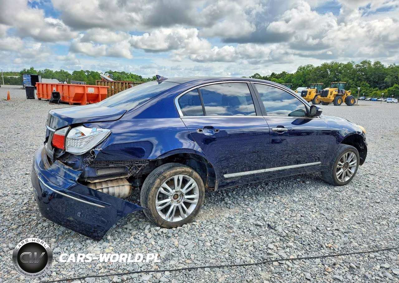 2010 Hyundai Genesis 4.6L VIN:KMHGC4DF1AU111075 - 3