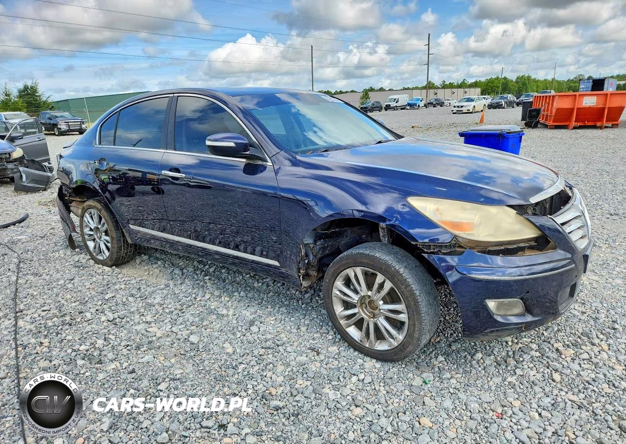 2010 Hyundai Genesis 4.6L VIN:KMHGC4DF1AU111075 - 4