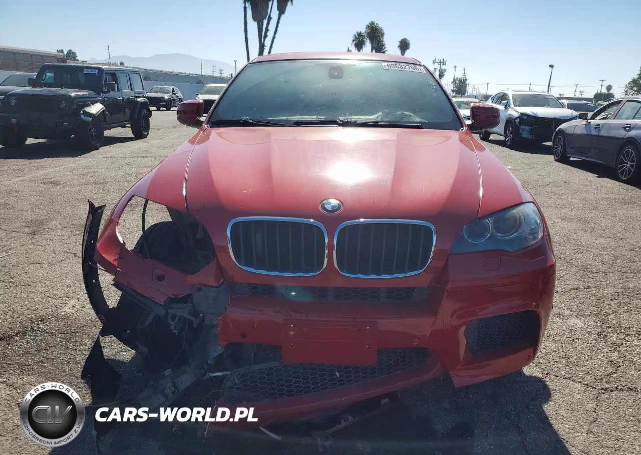 2011 BMW X6 M VIN:5YMGZ0C54BLK14171 - 5