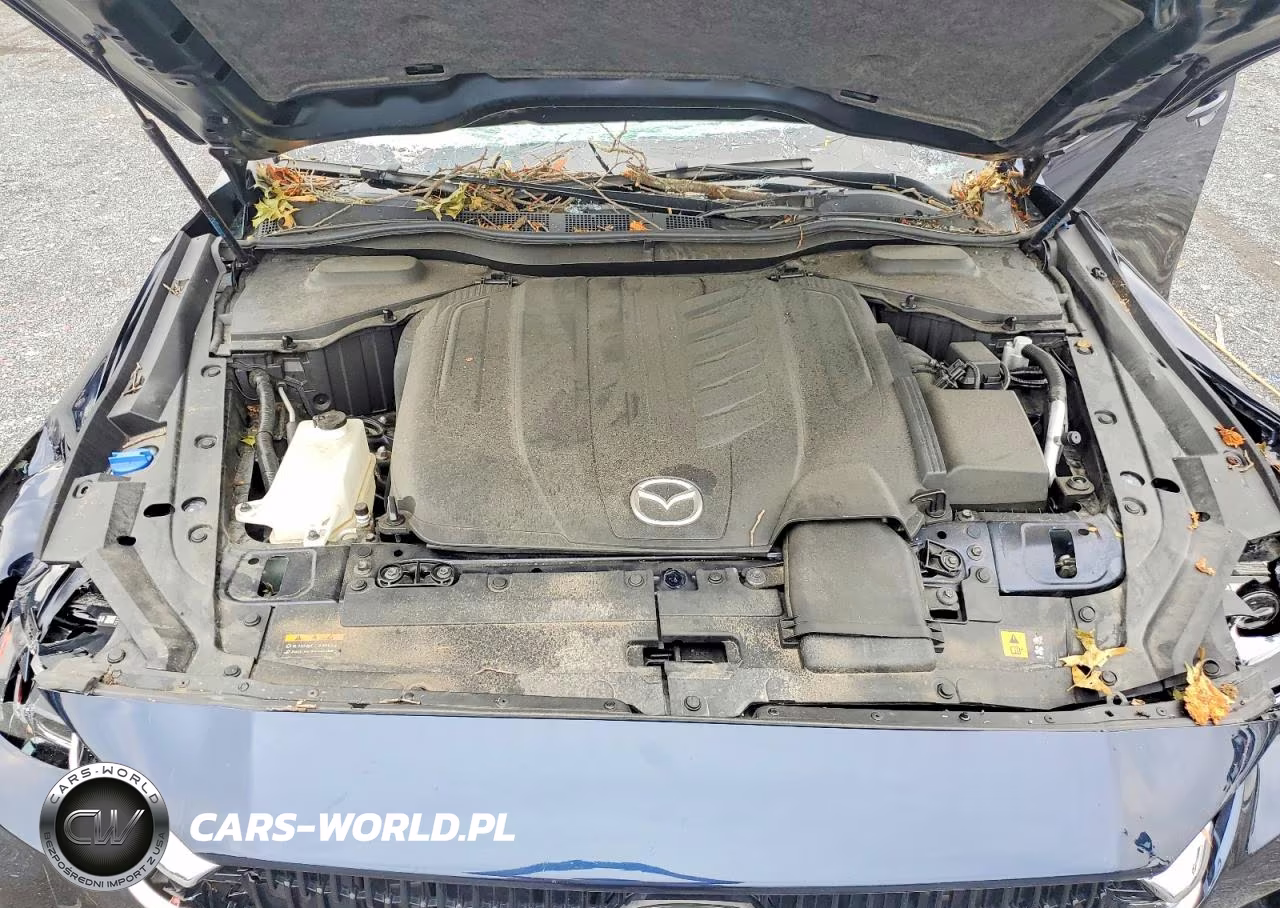2024 Mazda Cx-90 Preferred Plus VIN:JM3KKCHD1R1112915 - 12