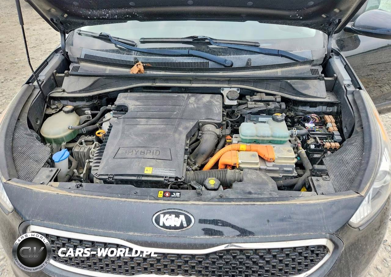 2019 Kia Niro Lx VIN:KNDCB3LC3K5263717 - 11