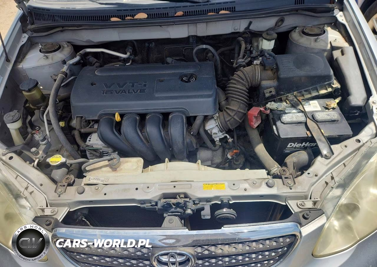 2008 Toyota Corolla Le VIN:1NXBR32E68Z943230 - 11