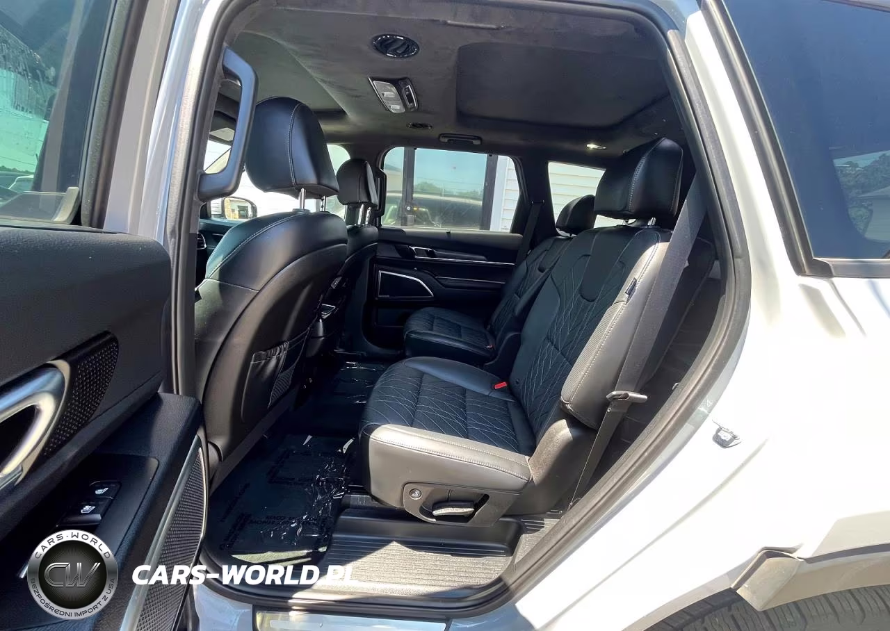 2024 Kia Telluride Sx-Prestige X-Pro VIN:5XYP5DGC7RG423608 - 10