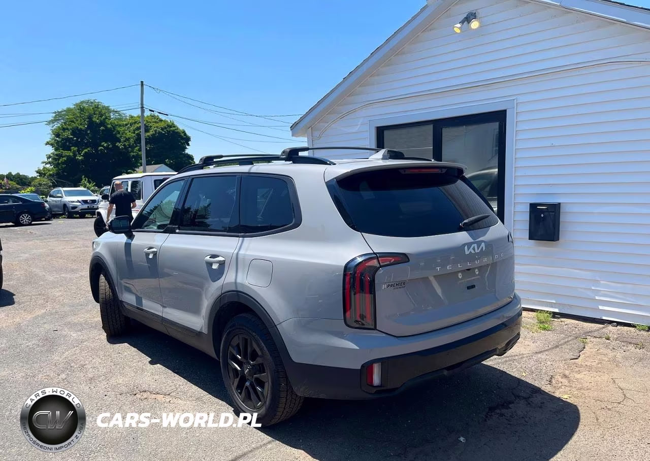 2024 Kia Telluride Sx-Prestige X-Pro VIN:5XYP5DGC7RG423608 - 2