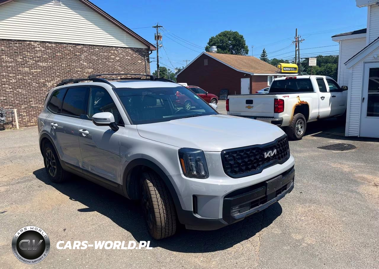 2024 Kia Telluride Sx-Prestige X-Pro VIN:5XYP5DGC7RG423608 - 4