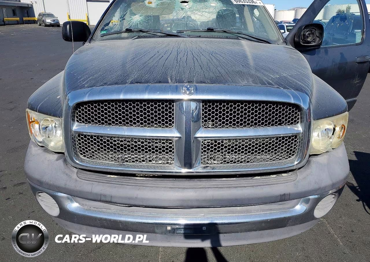 2002 Dodge Ram 1500 VIN:1D7HU16N12J210237 - 11
