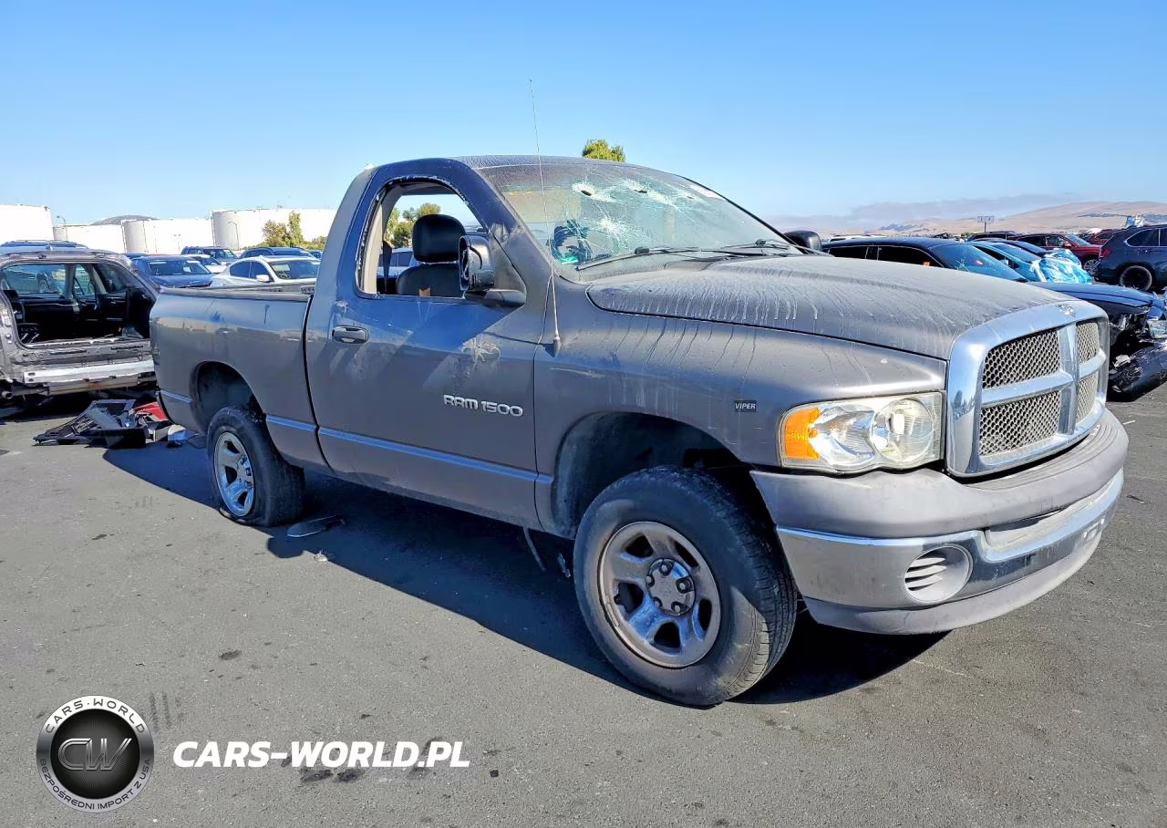 2002 Dodge Ram 1500 VIN:1D7HU16N12J210237 - 4