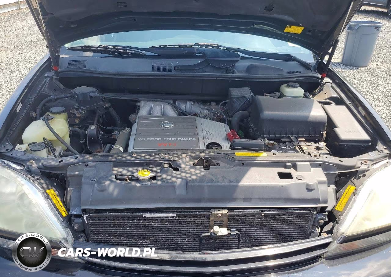 2001 Lexus Rx 300 VIN:JTJHF10UX10209688 - 12