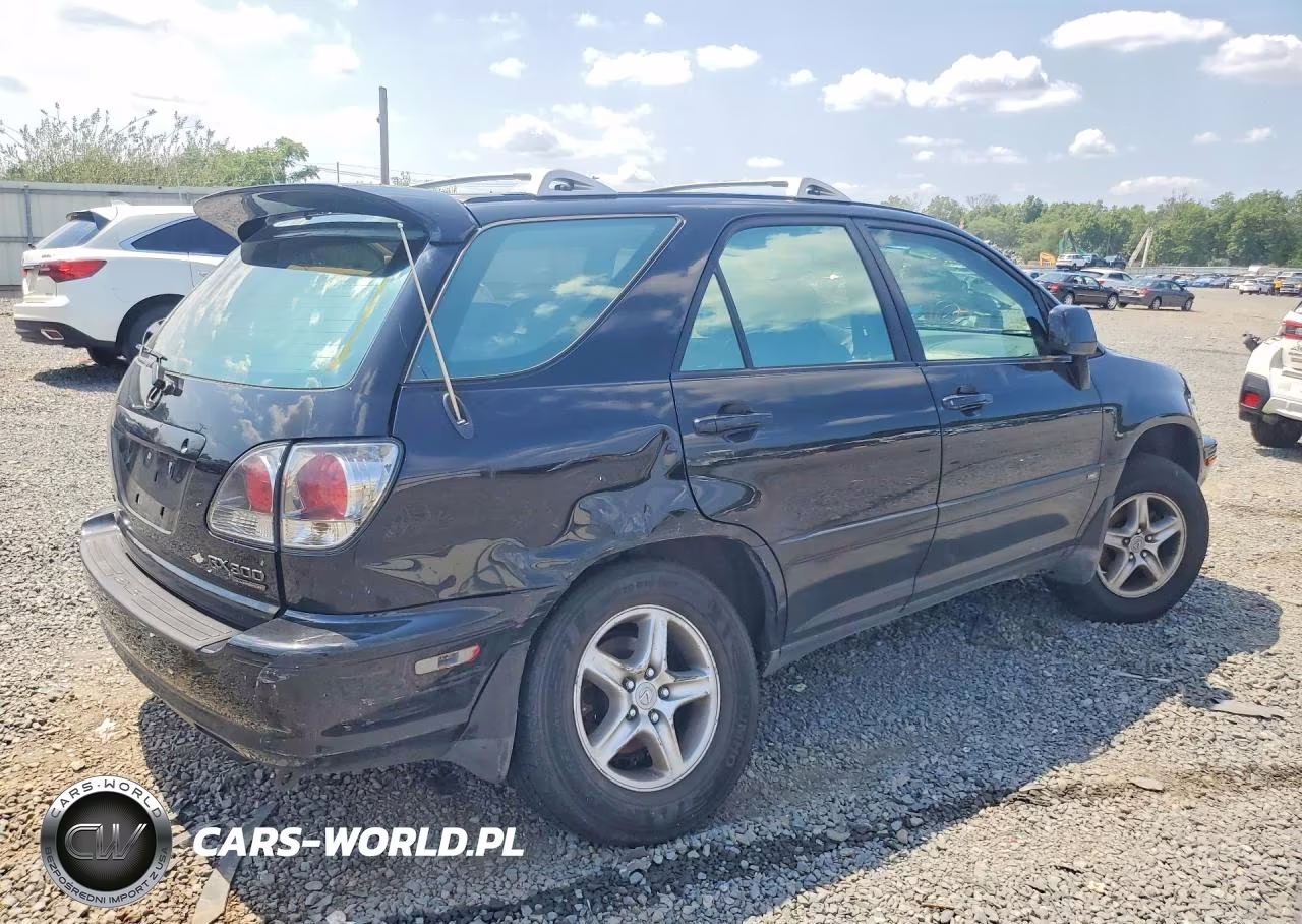 2001 Lexus Rx 300 VIN:JTJHF10UX10209688 - 3