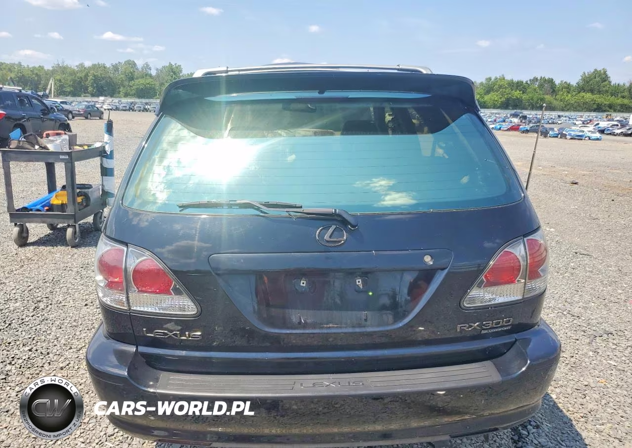 2001 Lexus Rx 300 VIN:JTJHF10UX10209688 - 6