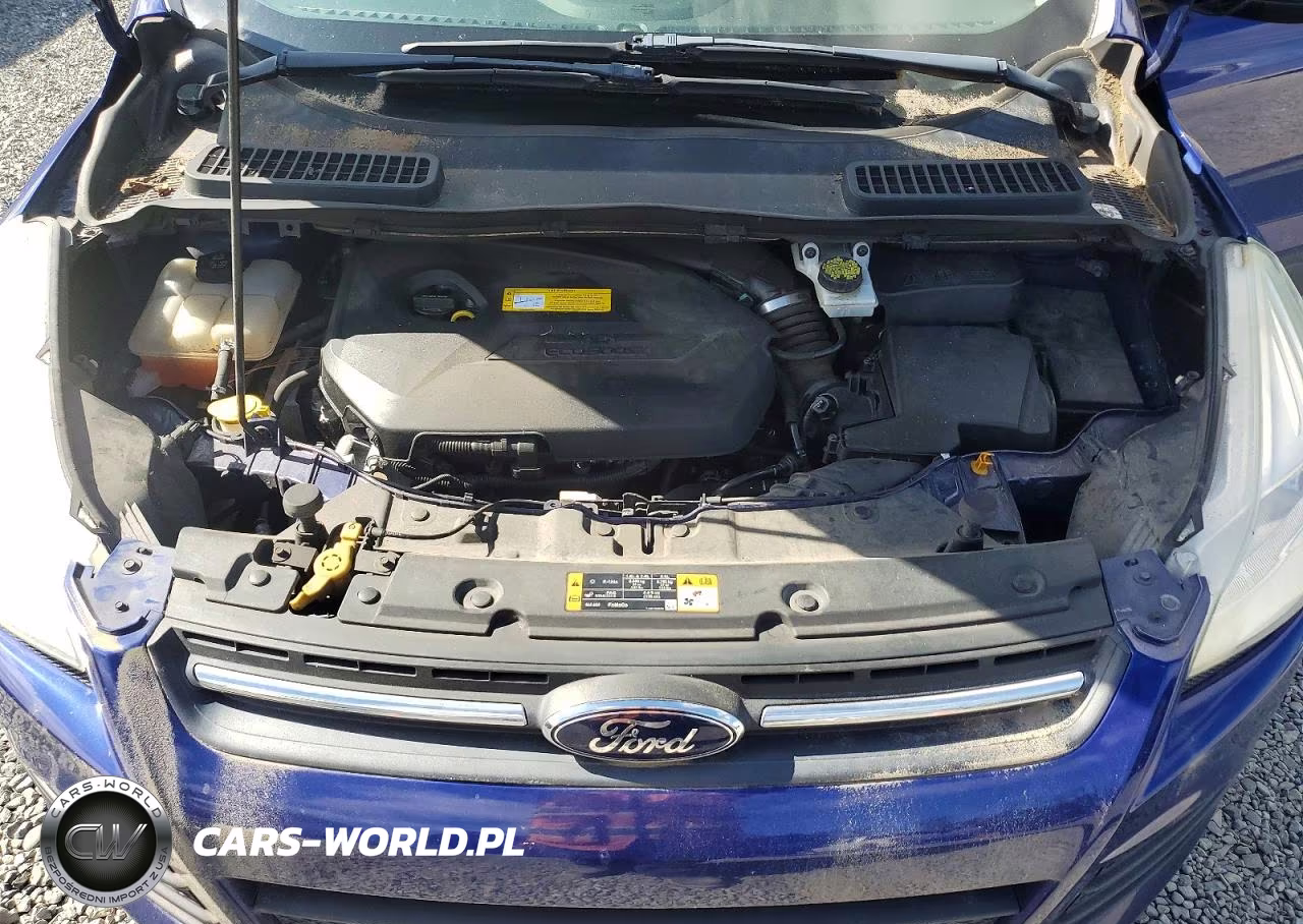 2016 Ford Escape Se VIN:1FMCU9GX9GUC08689 - 12