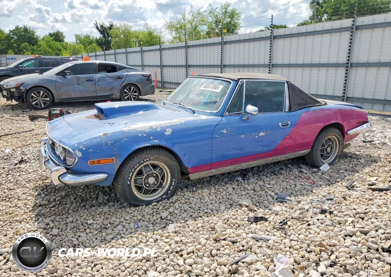 1973 Other Stag