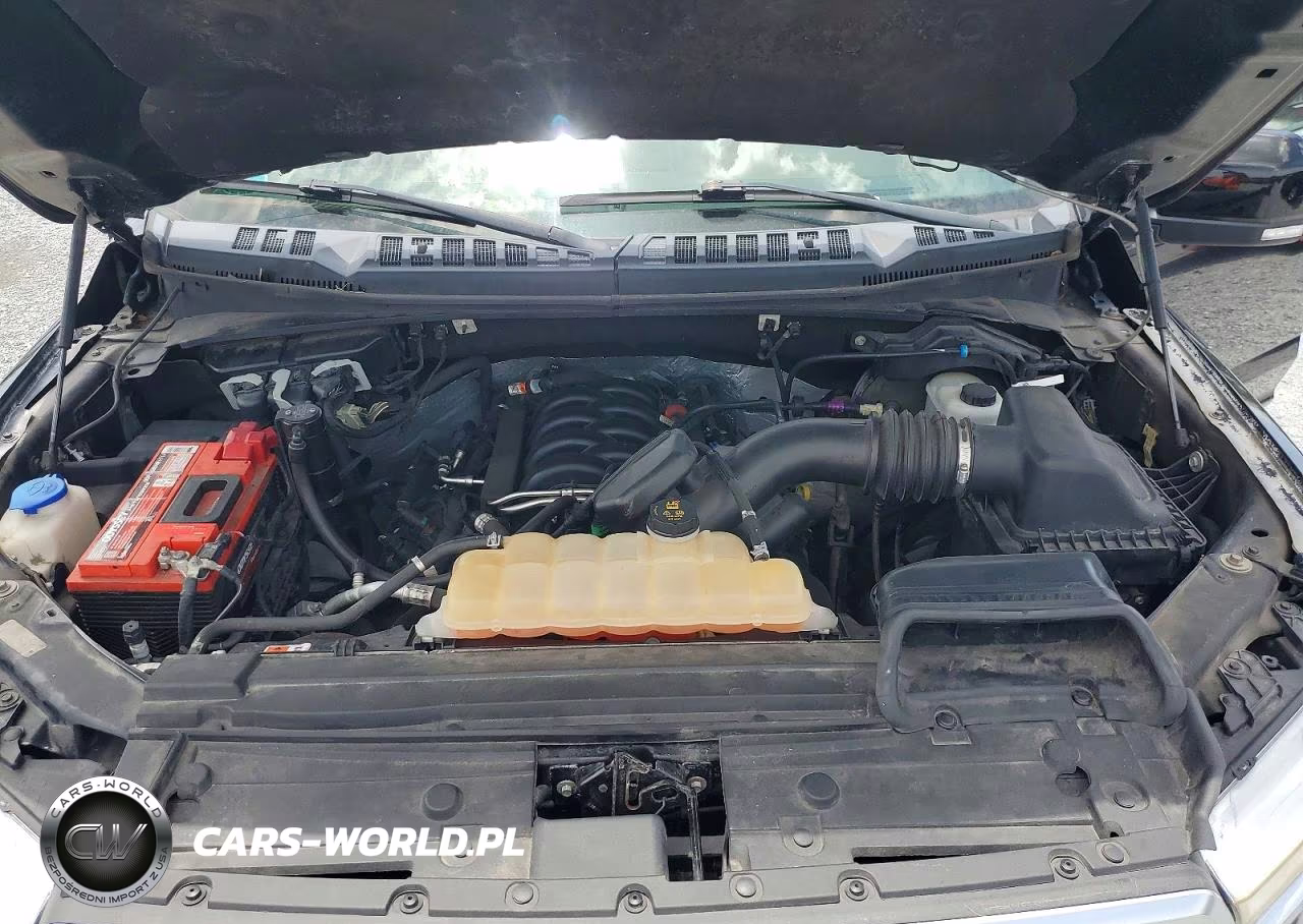 2019 Ford F150 Supercrew VIN:1FTFW1E51KFA23211 - 11