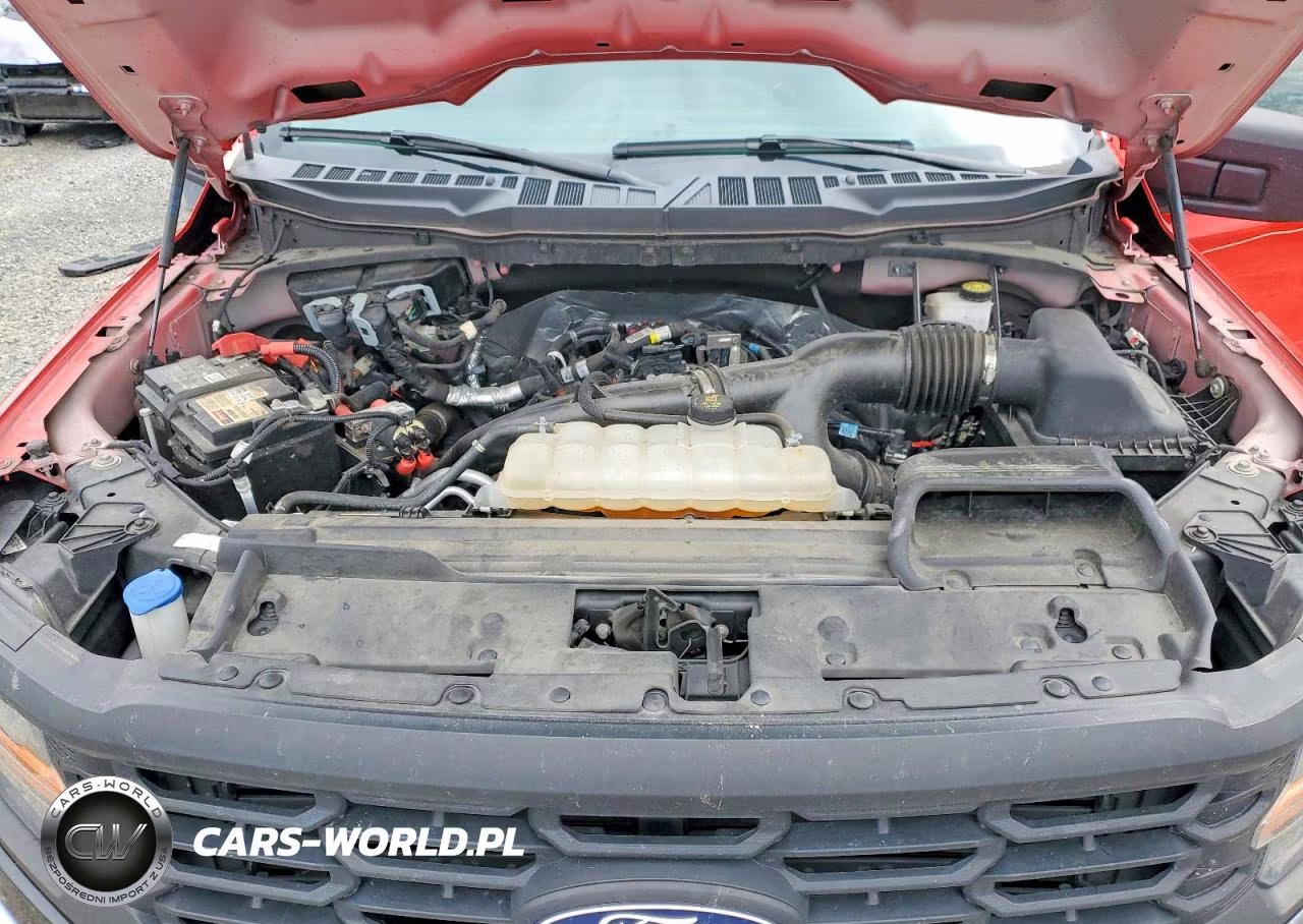 2024 Ford F150 Xl VIN:1FTEW1LP9RKD20681 - 11