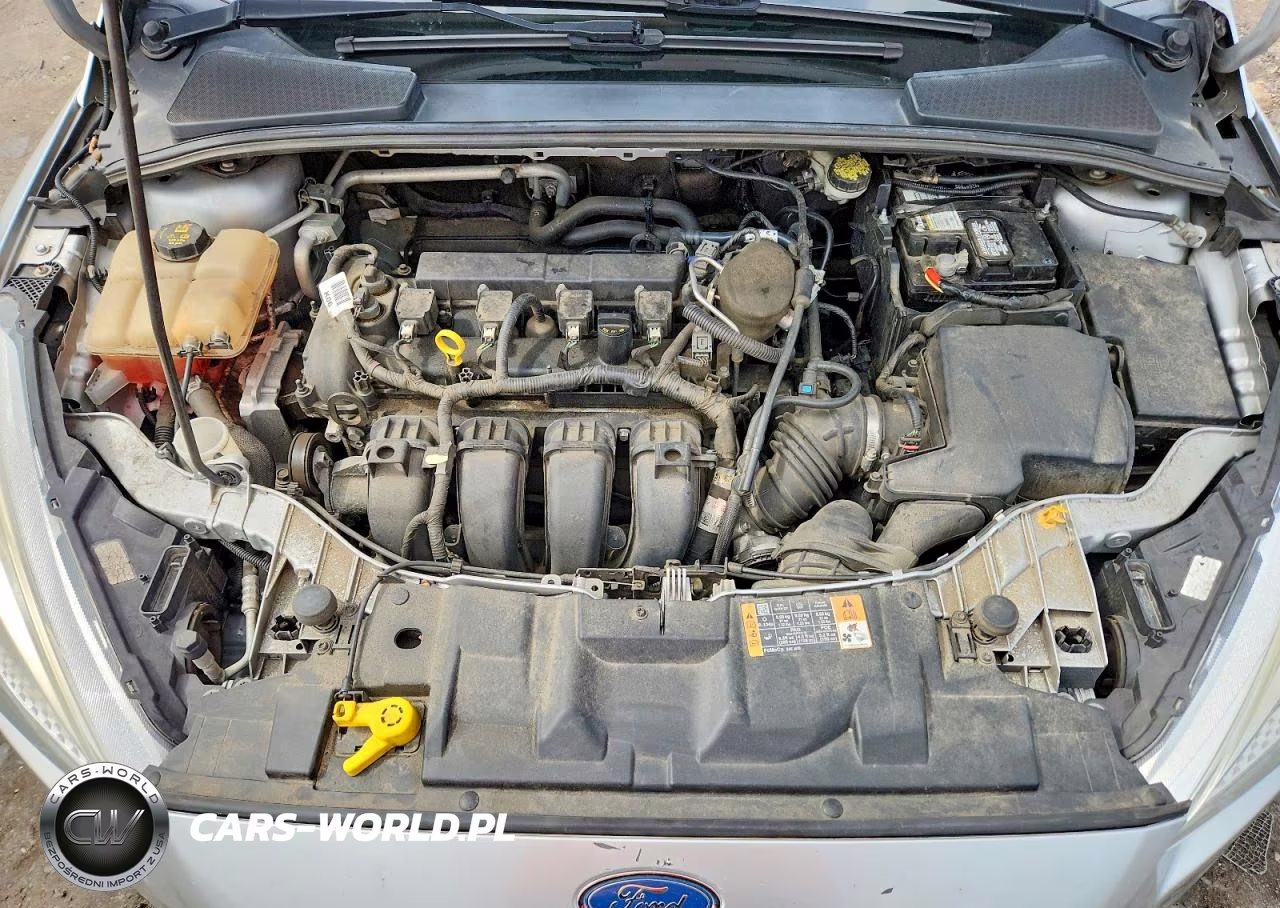 2016 Ford Focus Se VIN:1FADP3F21GL240423 - 11
