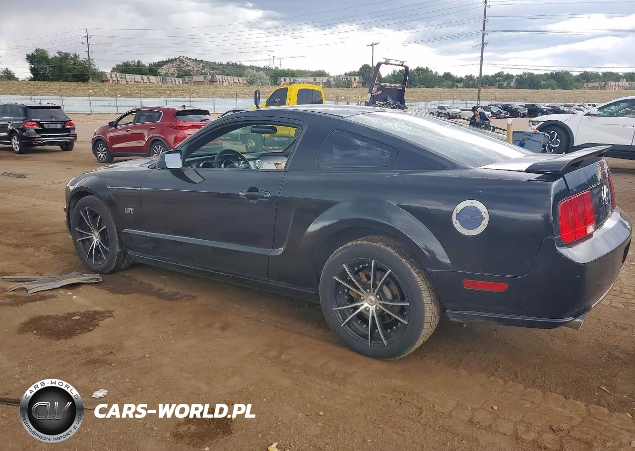 2006 Ford Mustang Gt VIN:1ZVHT82H265160384 - 2