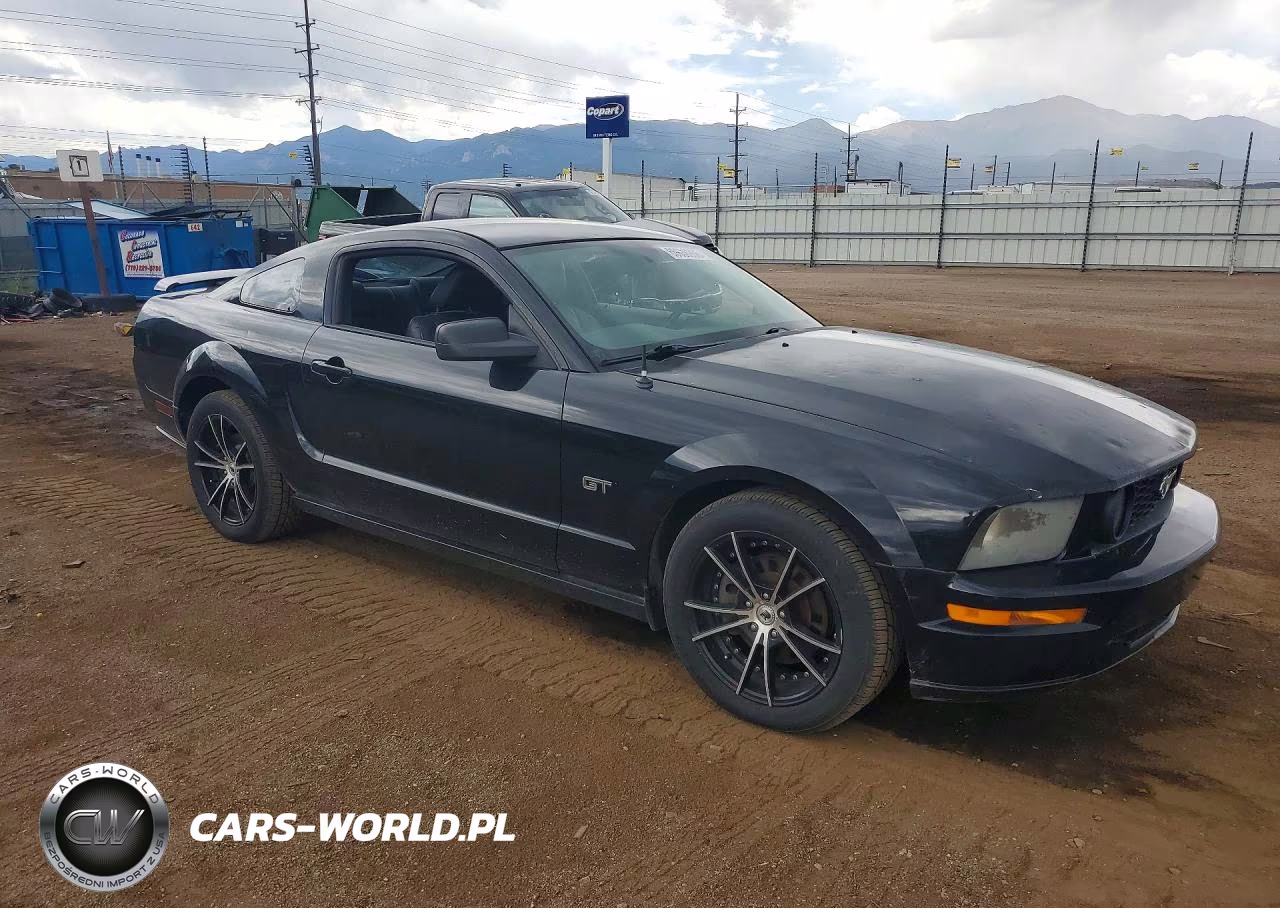 2006 Ford Mustang Gt VIN:1ZVHT82H265160384 - 4