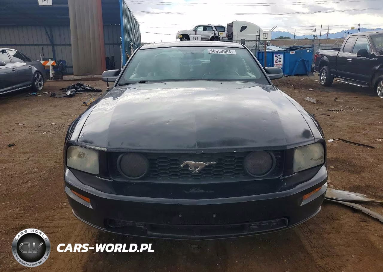 2006 Ford Mustang Gt VIN:1ZVHT82H265160384 - 5