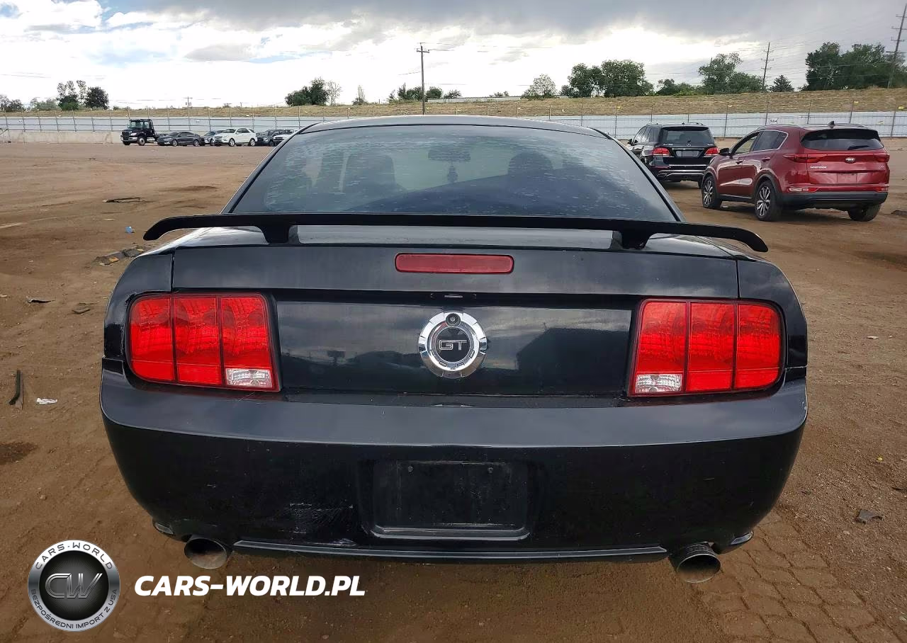 2006 Ford Mustang Gt VIN:1ZVHT82H265160384 - 6