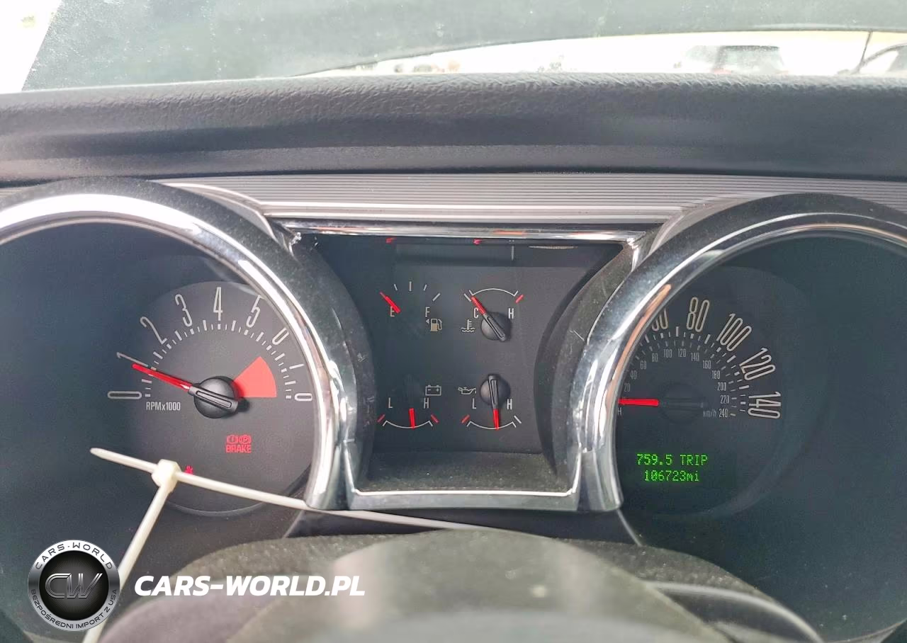 2006 Ford Mustang Gt VIN:1ZVHT82H265160384 - 9