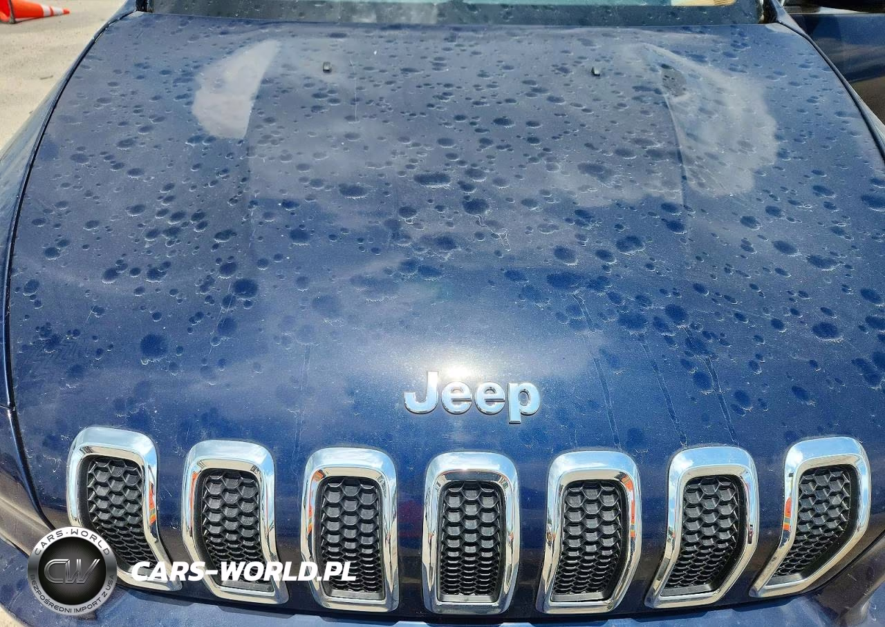 2014 Jeep Cherokee Limited VIN:1C4PJLDS5EW256289 - 12