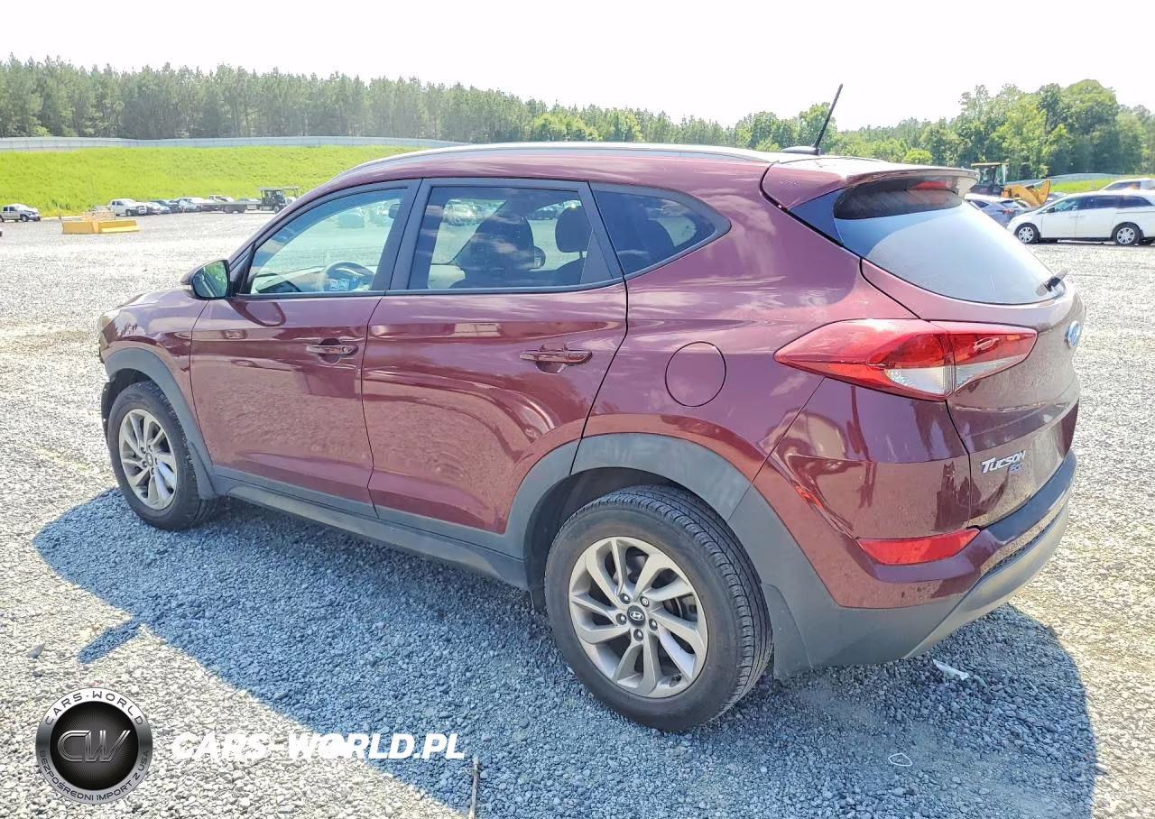 2016 Hyundai Tucson Eco VIN:KM8J33A27GU144995 - 2