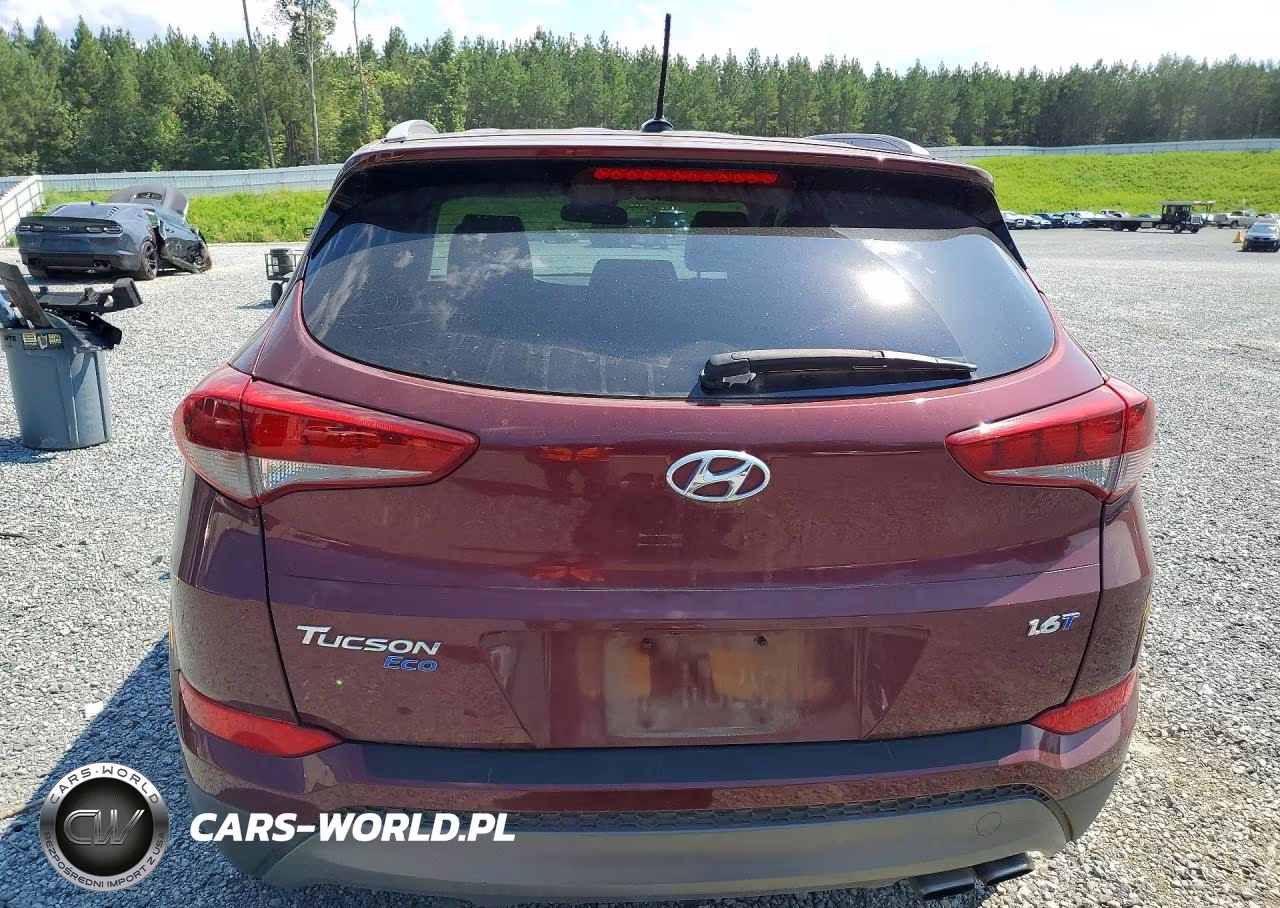 2016 Hyundai Tucson Eco VIN:KM8J33A27GU144995 - 6