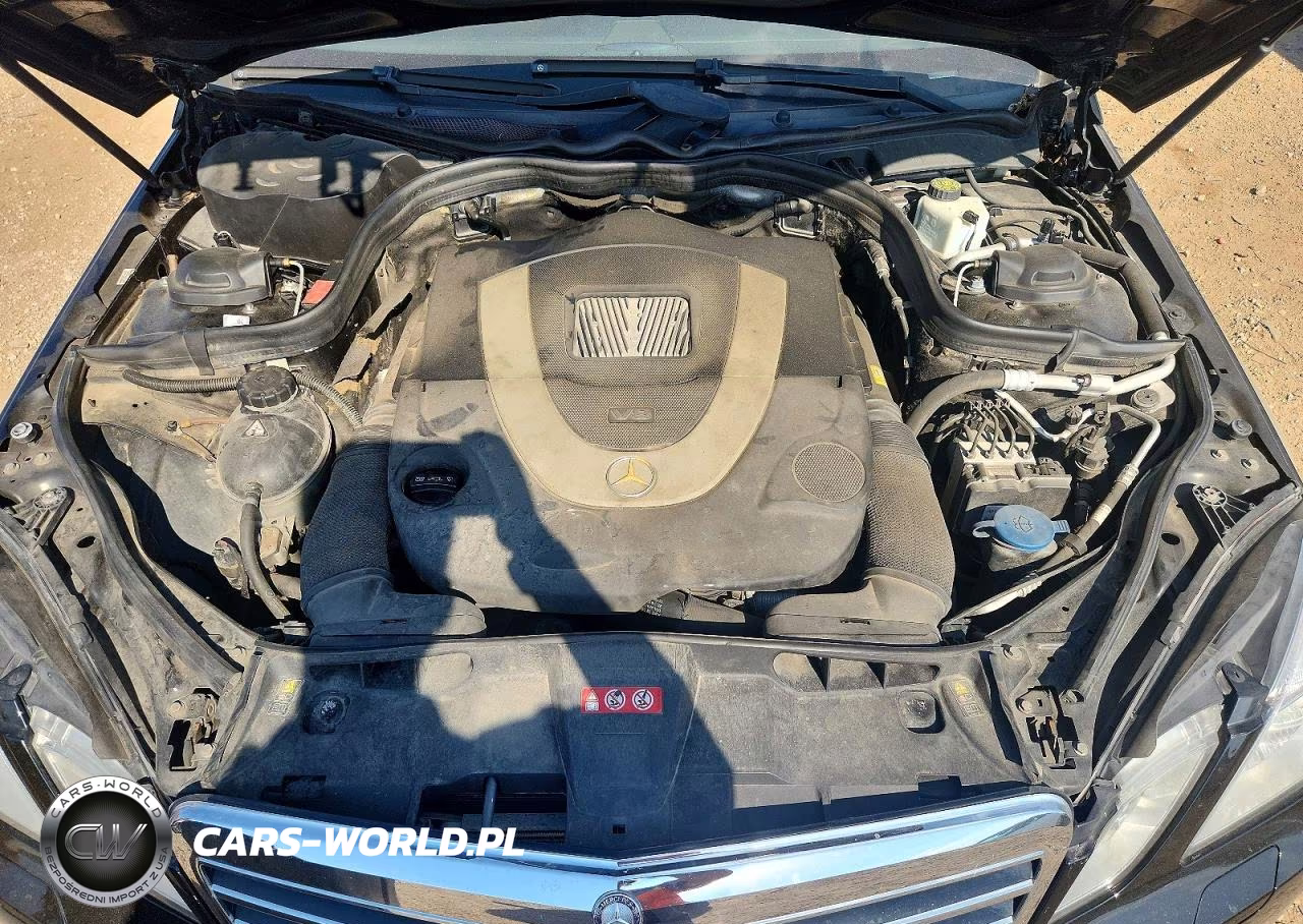 2010 Mercedes-Benz E 550 4Matic VIN:WDDHF9ABXAA128141 - 11