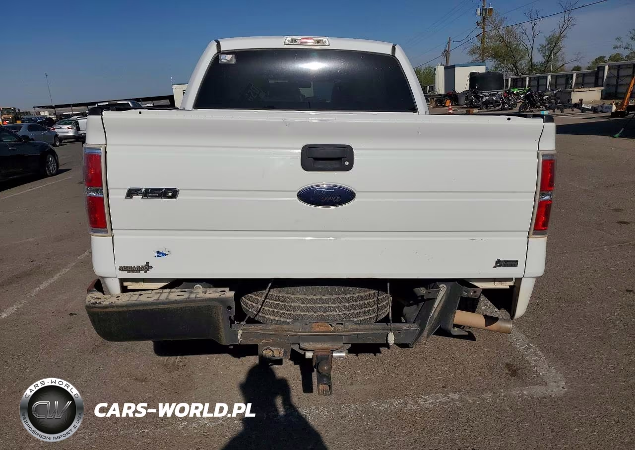 2010 Ford F150 Supercrew VIN:1FTFW1CV0AFD96371 - 6