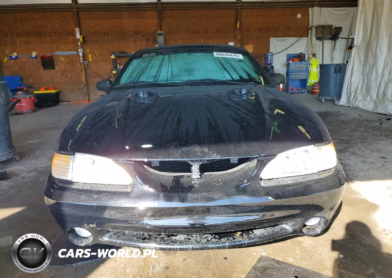 1997 Ford Mustang Cobra VIN:1FALP47V4VF163679 - 5