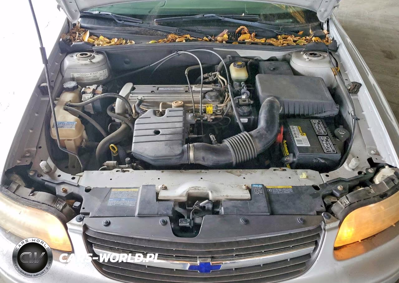 2004 Chevrolet Classic VIN:1G1ND52F14M584943 - 11