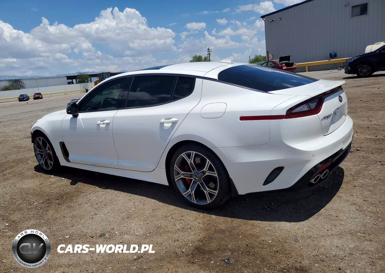 2018 Kia Stinger Gt2 VIN:KNAE55LC2J6035113 - 2