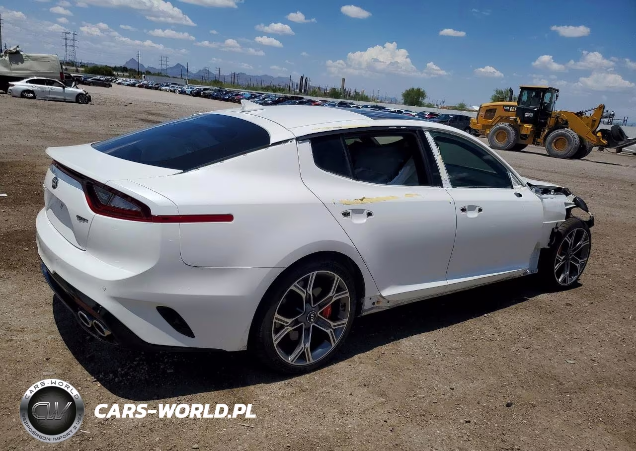 2018 Kia Stinger Gt2 VIN:KNAE55LC2J6035113 - 3