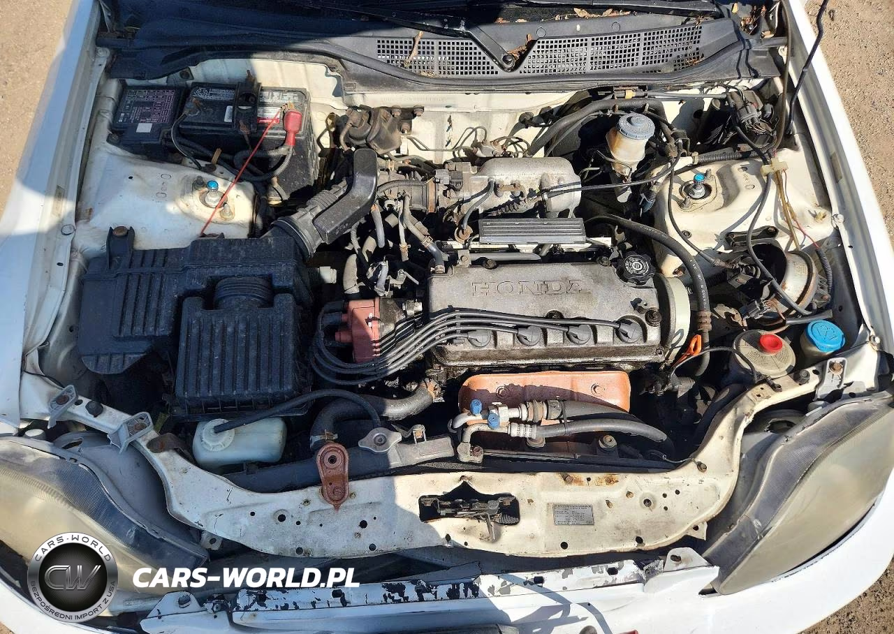 2000 Honda Civic Ex VIN:1HGEJ8249YL114642 - 11