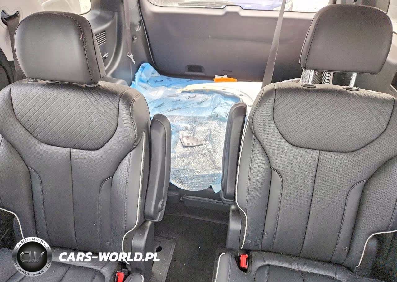 2025 Hyundai Palisade Sel VIN:KM8R2DGE5SU821659 - 10