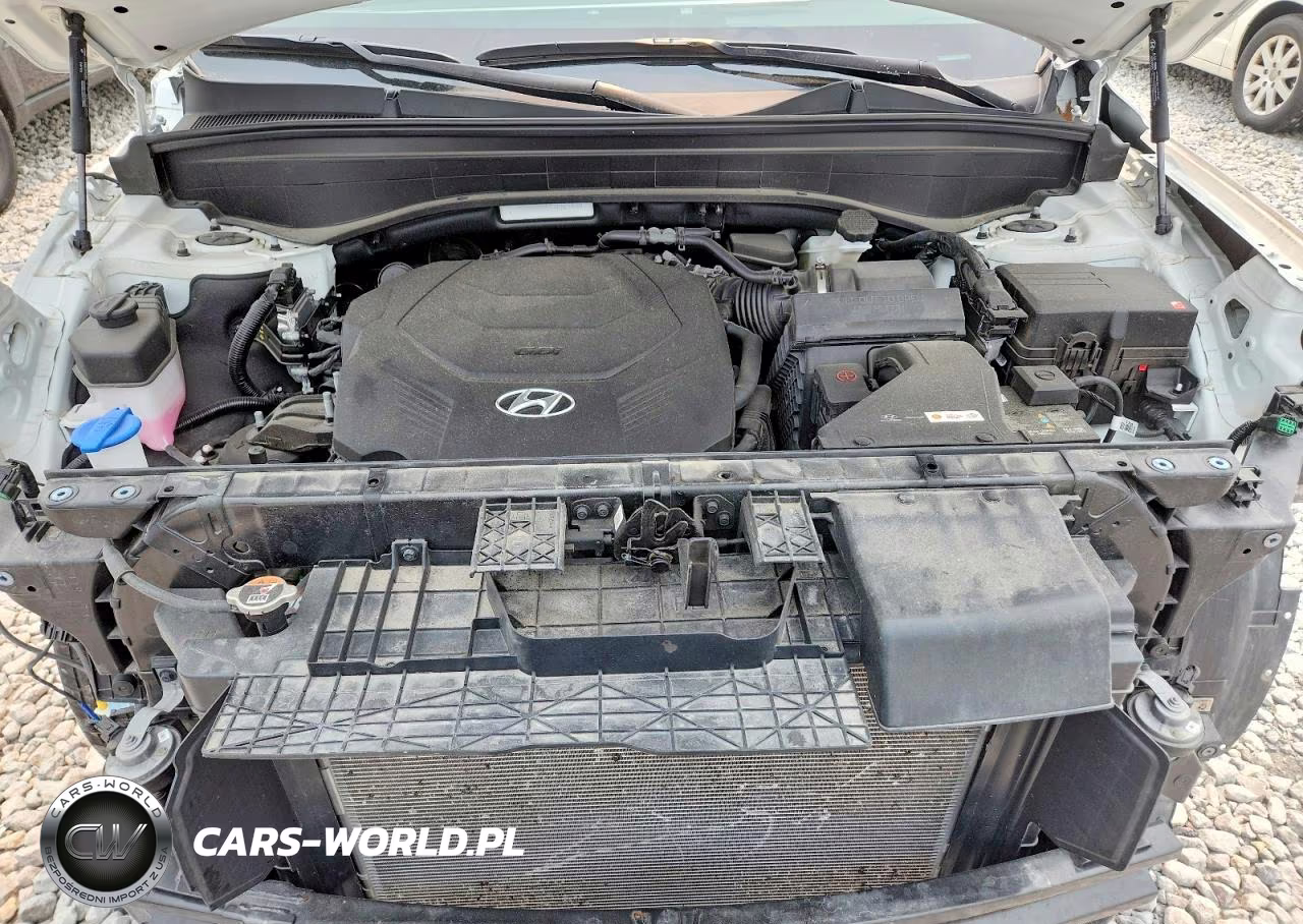 2025 Hyundai Palisade Sel VIN:KM8R2DGE5SU821659 - 12