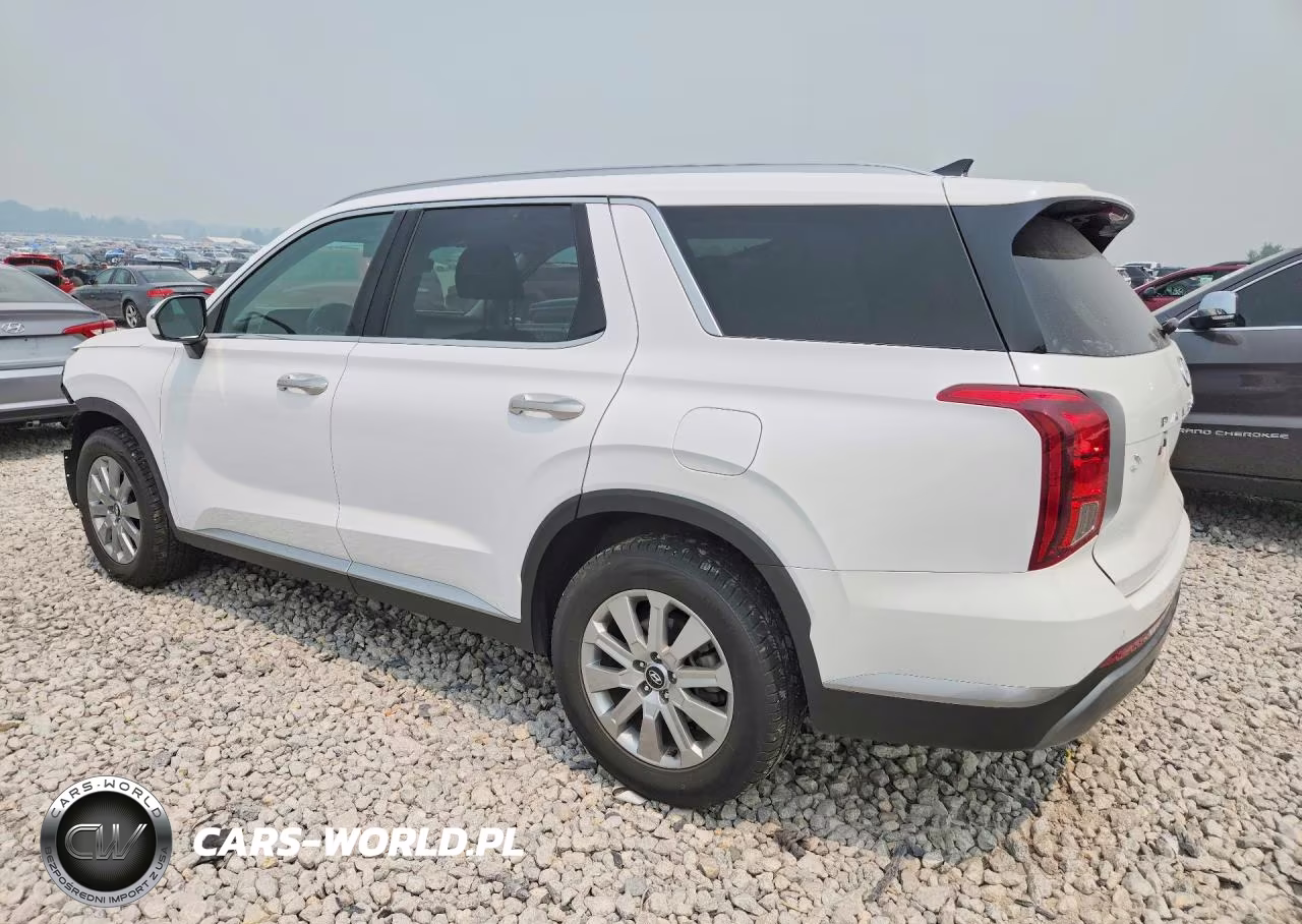 2025 Hyundai Palisade Sel VIN:KM8R2DGE5SU821659 - 2
