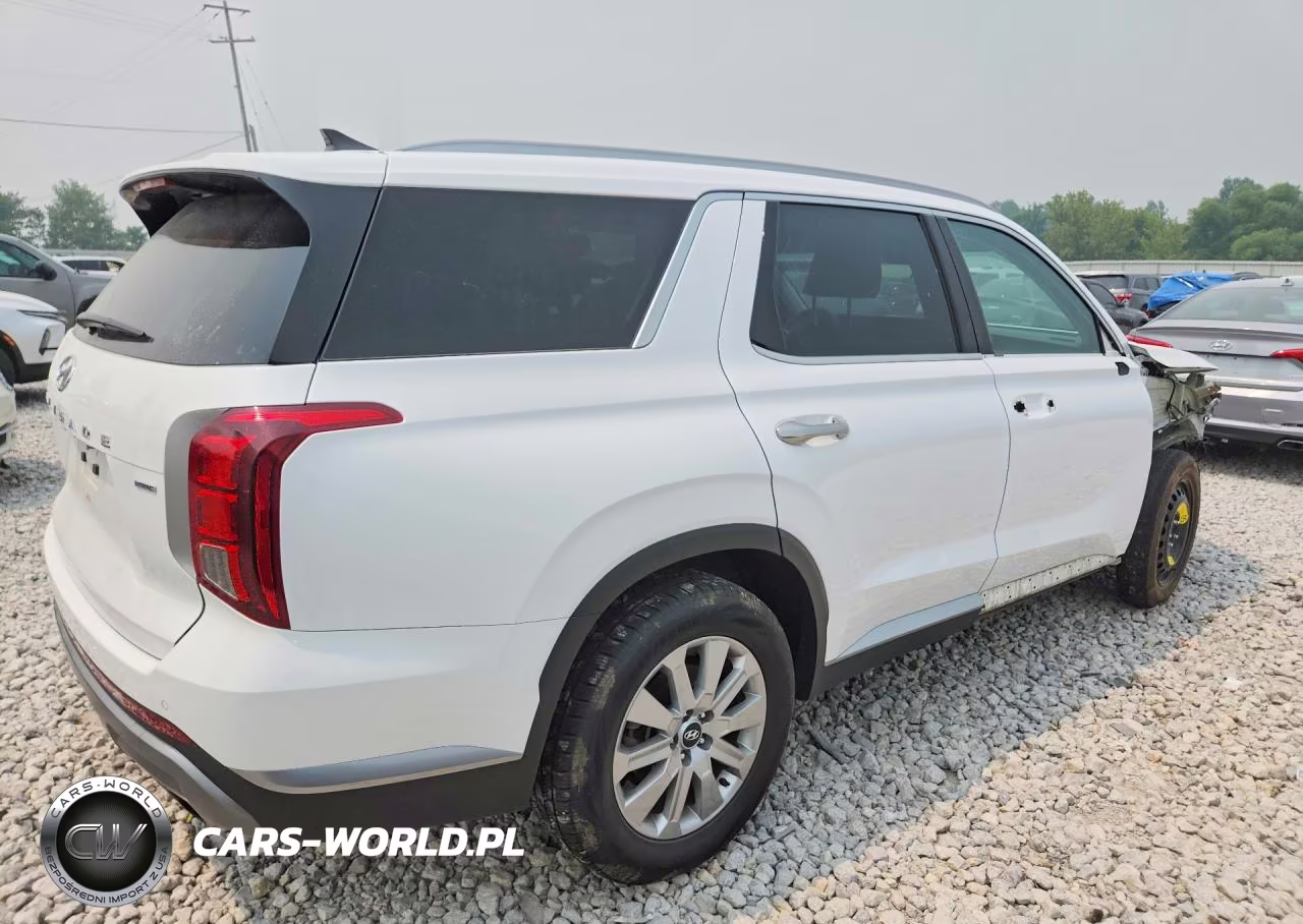 2025 Hyundai Palisade Sel VIN:KM8R2DGE5SU821659 - 3