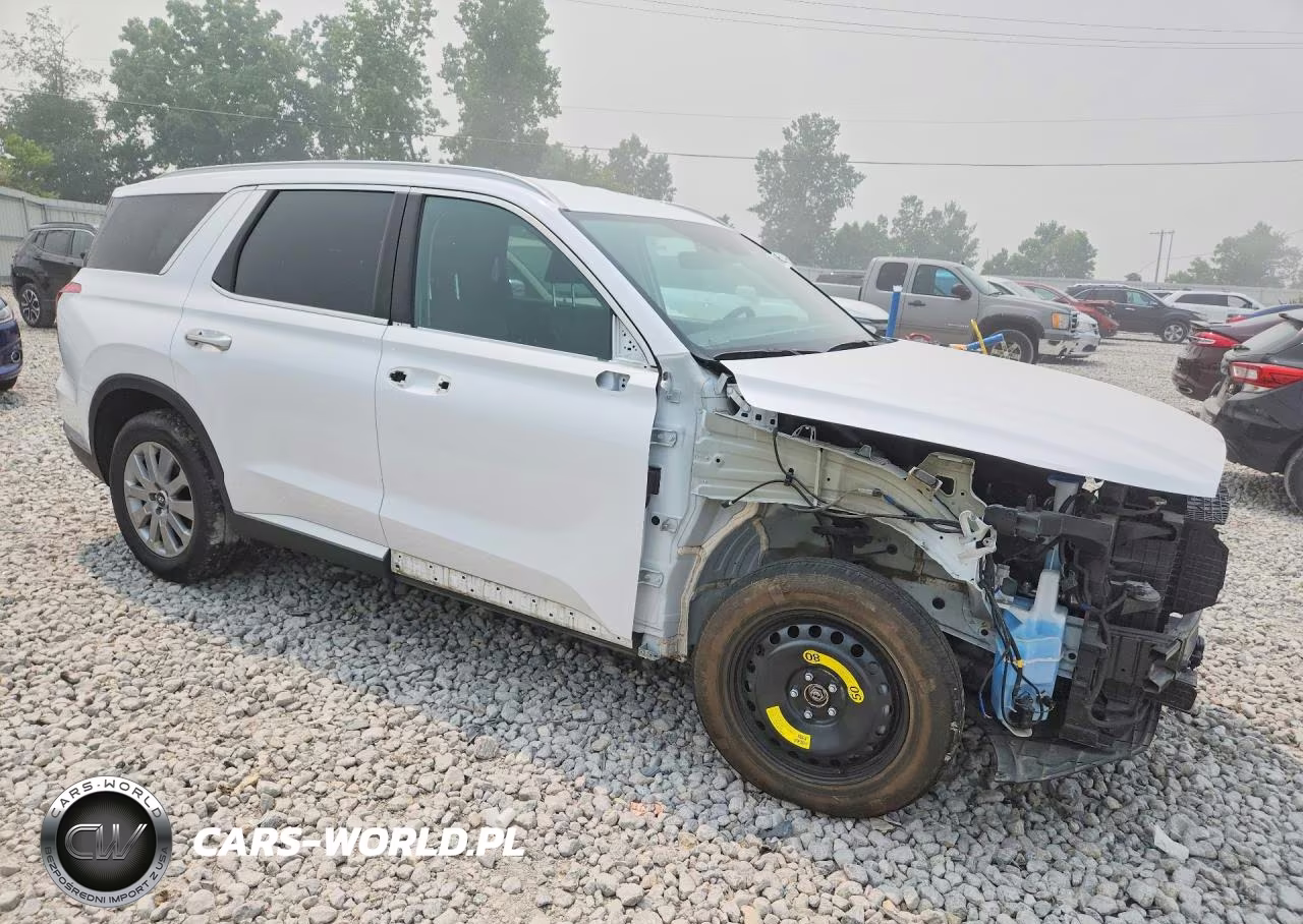 2025 Hyundai Palisade Sel VIN:KM8R2DGE5SU821659 - 4