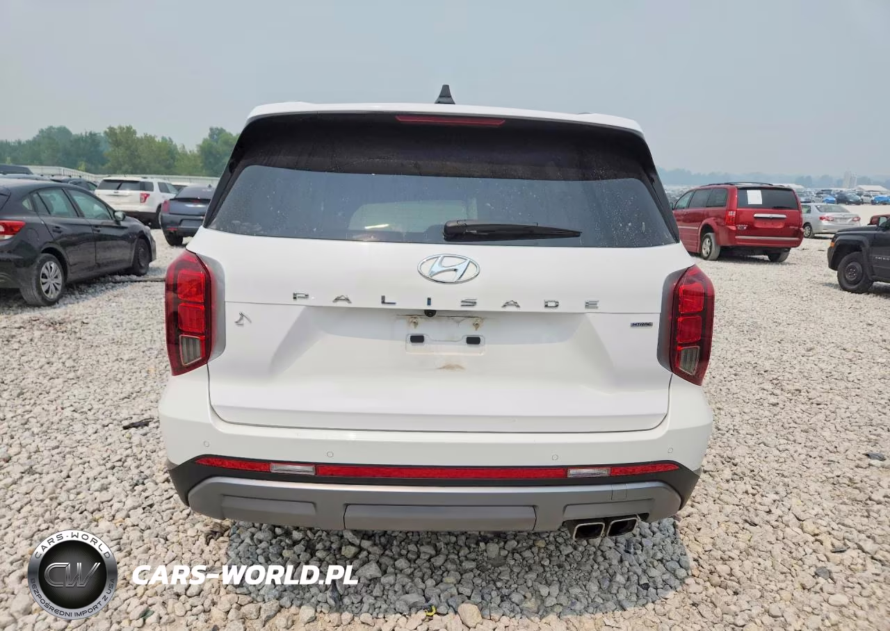 2025 Hyundai Palisade Sel VIN:KM8R2DGE5SU821659 - 6