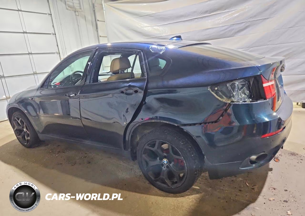 2013 BMW X6 xDrive35I VIN:5UXFG2C55DL786695 - 2