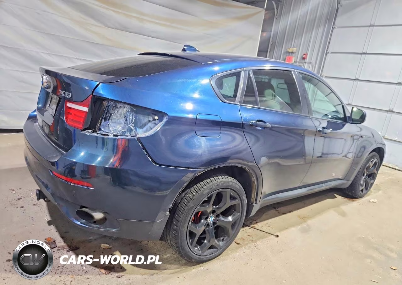 2013 BMW X6 xDrive35I VIN:5UXFG2C55DL786695 - 3
