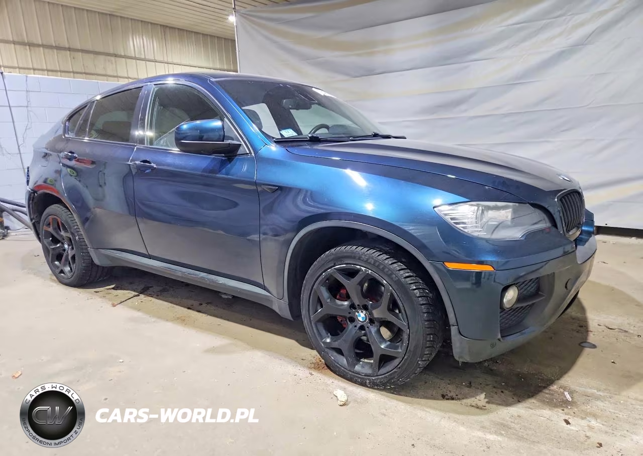 2013 BMW X6 xDrive35I VIN:5UXFG2C55DL786695 - 4